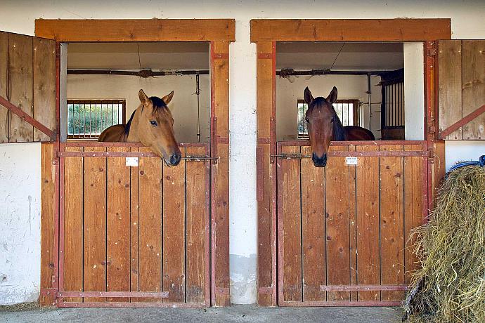 Horseback Riding Club of Slupenec | Horse-riding Club Slupenec | The pub | Settlement Slupenec - Český Krumlov Horseback Riding Club of Slupenec | Horse-riding Club Slupenec | The pub | Settlement Slupenec - Český Krumlov